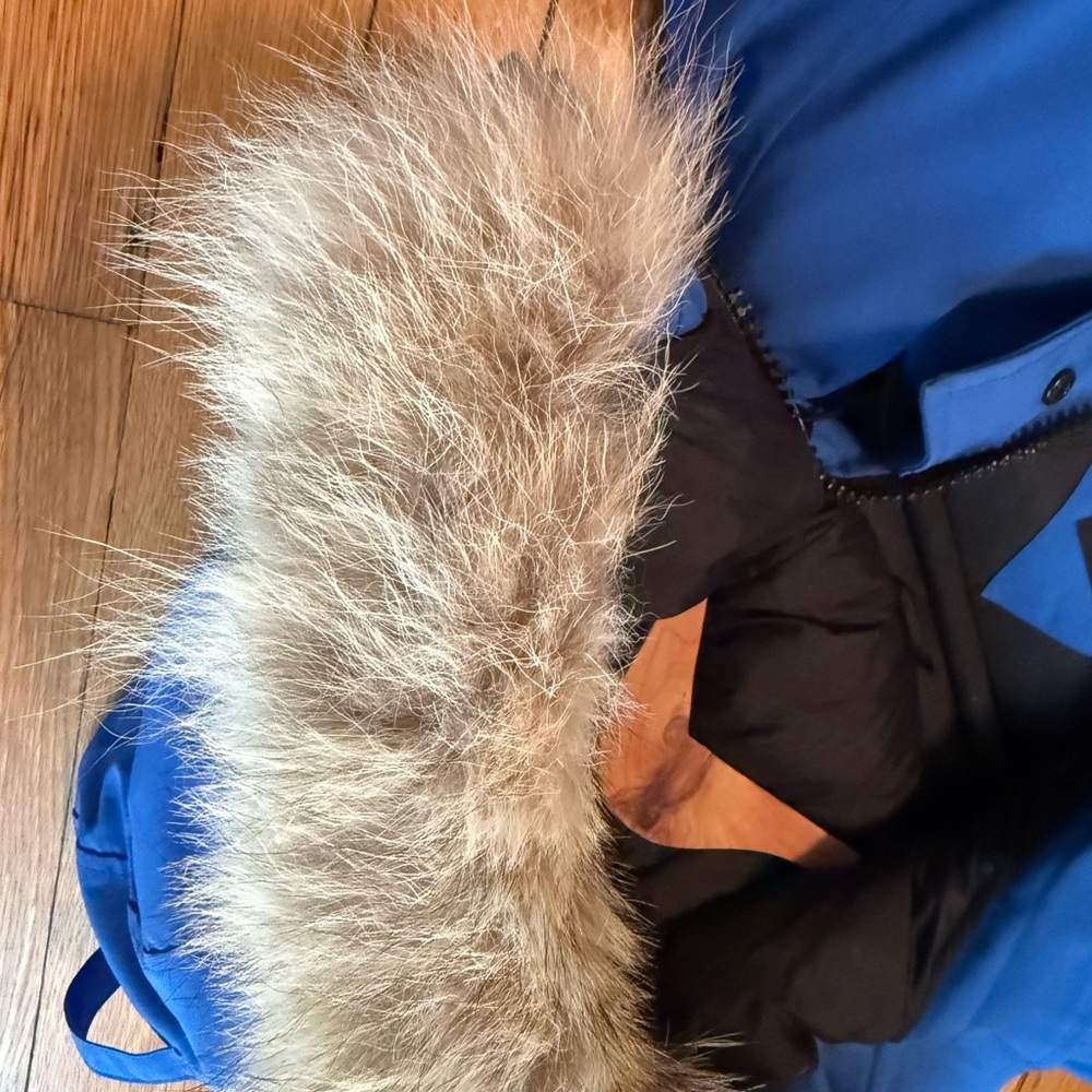Canada Goose Royal Blue Jacket